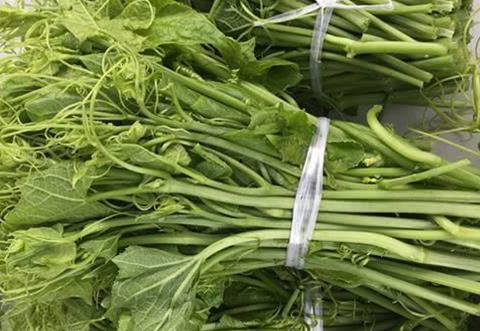 胡子瓜怎么吃大全,全方位解锁胡子瓜美味吃法