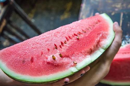 胡子瓜怎么吃大全,全方位解锁胡子瓜美味吃法