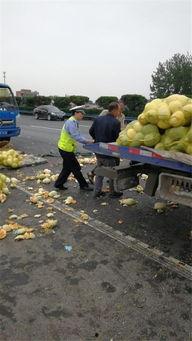 许昌疫情吃瓜图片,一张吃瓜图背后的社会现象解析