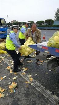 许昌疫情吃瓜图片,一张吃瓜图背后的社会现象解析