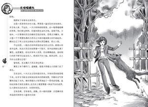 吃瓜福宝小说,穿越古代的甜蜜复仇之旅