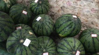 郑州卖衣服吃瓜,时尚穿搭与夏日吃瓜的悠闲时光