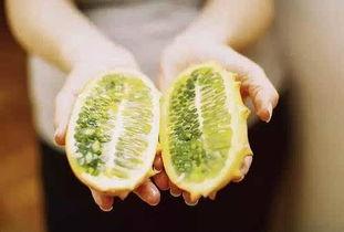 刺角瓜怎么吃减肥,天然低卡美食助你轻松瘦身