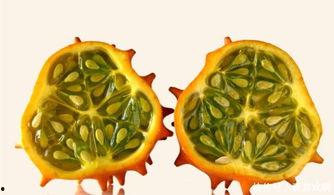 刺角瓜怎么吃减肥,天然低卡美食助你轻松瘦身