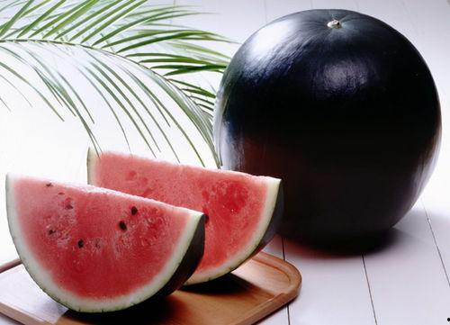 黑网吃瓜地址,追踪网络暗流涌动的秘密世界