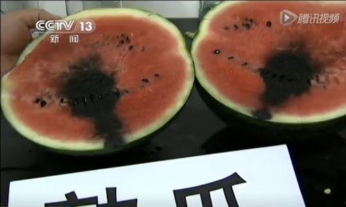 西瓜声控吃瓜视频,西瓜视频带你体验全新互动乐趣