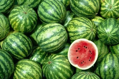 西瓜声控吃瓜视频,西瓜视频带你体验全新互动乐趣