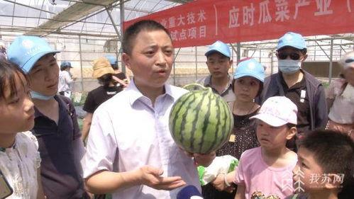 苏州吃瓜好市民,揭秘“吃瓜好市民”的美食生活圈
