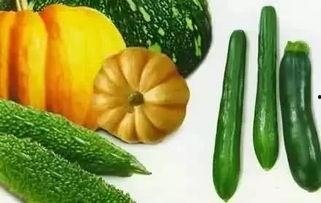 江怡吃瓜,揭秘娱乐圈幕后故事