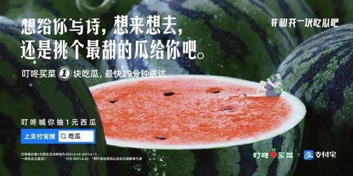 今日份吃瓜文案,盘点娱乐圈新鲜“瓜事”