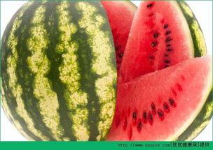 吃瓜网每日,揭秘娱乐圈最新热点,带你领略明星幕后故事