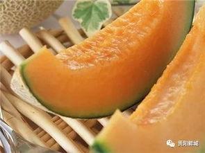 吃果不吃瓜哈密瓜,吃果不吃瓜，尽享甜蜜滋味