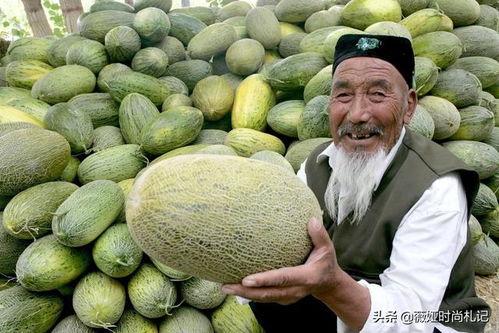 新疆大厨吃哈密瓜,舌尖上的甜蜜之旅