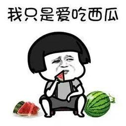 免费快乐吃瓜群,畅享娱乐盛宴，轻松互动新体验